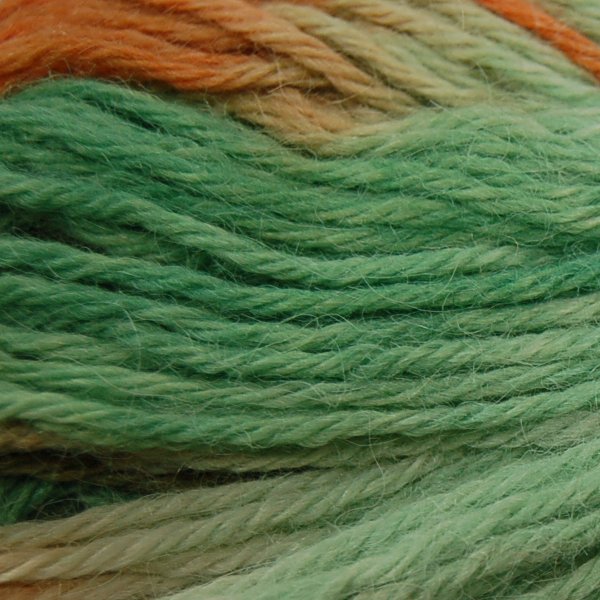 Araucania Atacama 510 Green Maroon Autumn Brown Mix