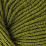 Berroco Pure Merino DK Yarn #4542 Kale