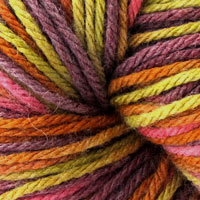 Berroco Vintage Colors Wool Yarn Colorway 5216 English Garden Berroco Vintage Colors Wool Yarn Colorway 5216 English Garden