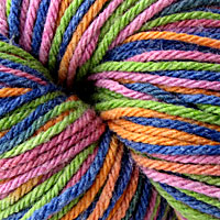 Berroco Vintage Colors Wool Yarn Colorway 5223 Carousel