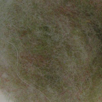 Bewitching Fibers Needle Felting Carded Wool - 1 ounce - Jade