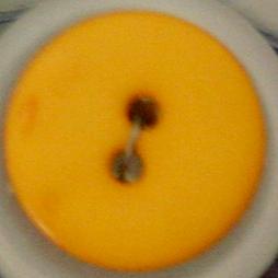 #102429 15mm (5/8 inch) Round Fashion Button by Dill - Amber