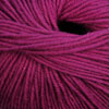 Cascade 220 Superwash Yarn  807 Raspberry