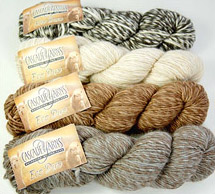 Cascade Eco Duo Yarn