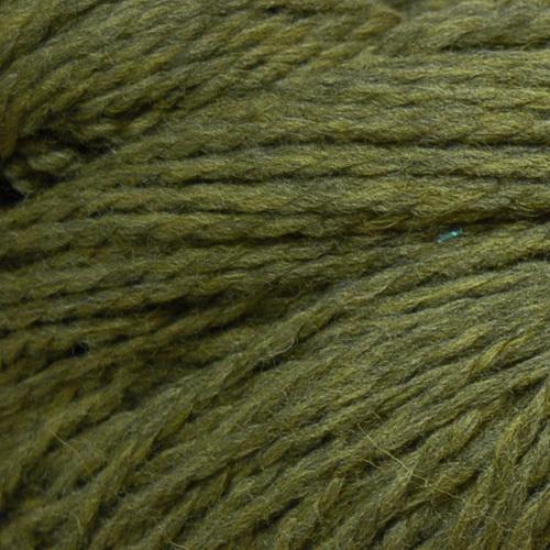 Cascade Yarns Eco Plus Wool Colorway 2452 Turtle