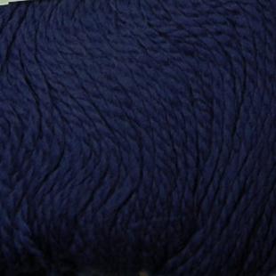 Cascade Yarns Eco Plus Wool Colorway 3479 Grape
