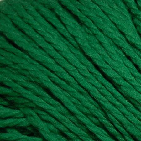 Cascade Yarns Eco Plus Wool Colorway 4181 Palm