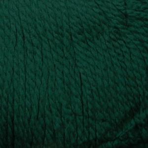 Cascade Yarns Eco Plus Wool Colorway 7097 Fern