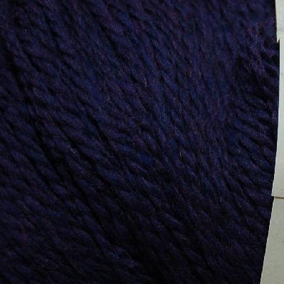 Cascade Yarns Eco Plus Wool Colorway 7811 Purple Jewel Heather