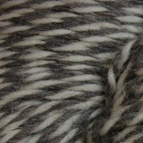 Cascade Yarns Ecological Wool 9006 Ecru Tarnish Twist