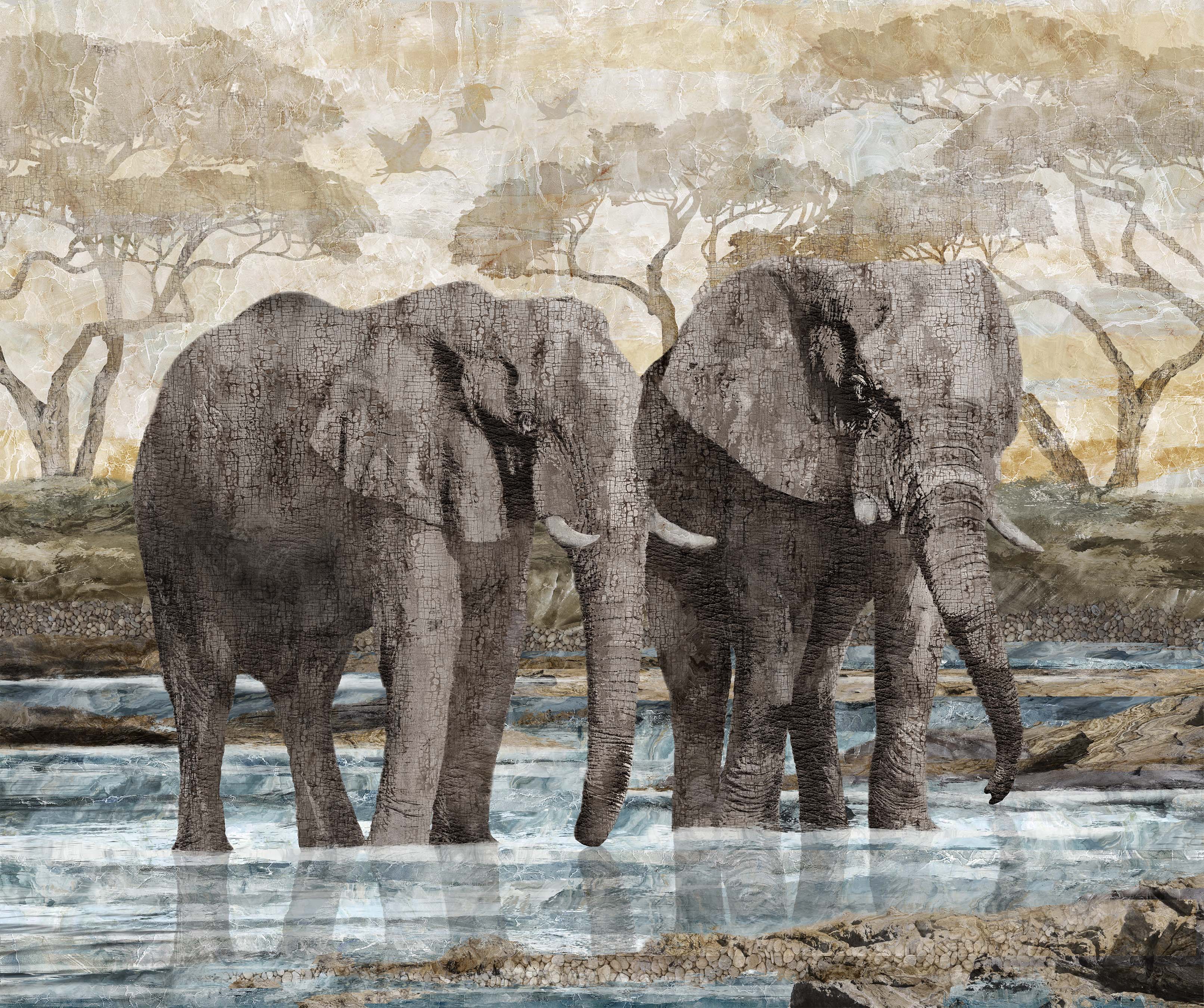 New Dawn - Elephants - Cotton Fabric from Northcott