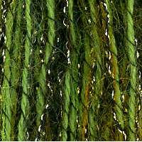 Filatura Di Crosa Gioello Yarn #17 Olive