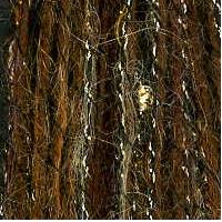 Filatura Di Crosa Gioello Yarn #18 Brown