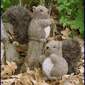 Fiber Trends Nuts About Squirrels Kit