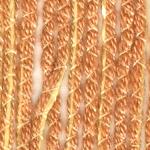Gedifra Ayala Yarn #2221 Amber