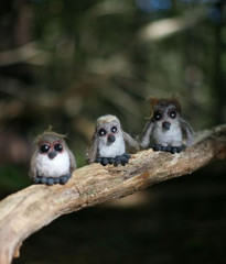 Owl Babies Needle Felting Kit - Makes 3 Owl Babies Needle Felting Kit - Makes 3