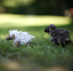 Flock of Sheep Needle Felting Kit - Makes 3 Flock of Sheep Needle Felting Kit - Makes 3