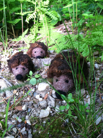 Prickle of Hedgehogs Needle Felting Kit - Makes 3 Prickle of Hedgehogs Needle Felting Kit - Makes 3