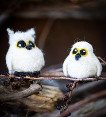 Snowy Owl Babies Needle Felting Kit - Makes 3 Snowy Owl Babies Needle Felting Kit - Makes 3