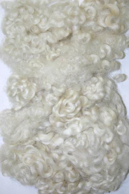 Ivy Brambles Border Leicester Curly Locks 1 oz - 000 - Natural White