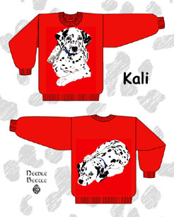 Needle Beetle Sweater Pattern Kali The Dalmation
