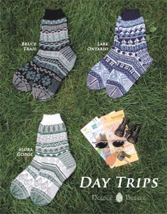 Needle Beetle Day Trips Sock Pattern