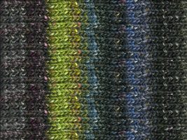 Noro Silk Garden 270 Black, Purple, Lime, Blue