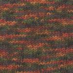 Plymouth Yarn Encore Colorspun Worsted Yarn in Colorway 7128 Autumn