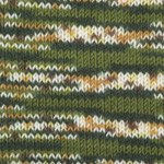 Plymouth Yarn Encore Colorspun Worsted Yarn in Colorway 7143 Artichoke