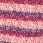 Plymouth Yarn Encore Colorspun Worsted Yarn in Colorway 7517 Razzle Print