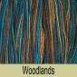 Prism Symphony Yarn in Colorway Woodlands