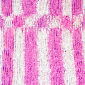 Prism Wicket Ikat Yarn - Rose