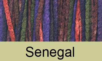 Prism Saki Sock Yarn Colorway Senegal