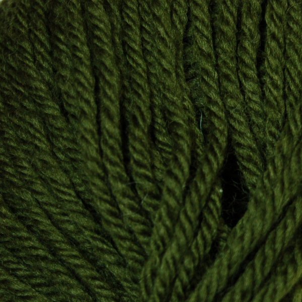 Rowan Pure Wool DK Yarn Glade 021