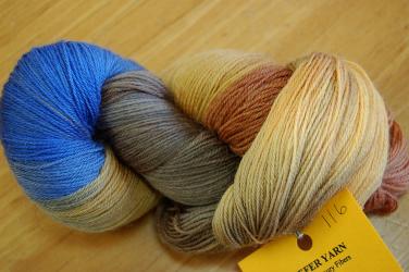 Schaefer Anne Sock Yarn Colorway 116