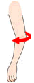 elbow