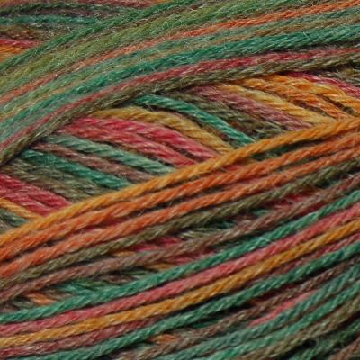 Zitron Trekking Pro Natura Sock Yarn #1601