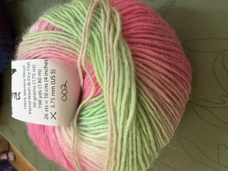 Acacia Vivid Colors Yarn 002