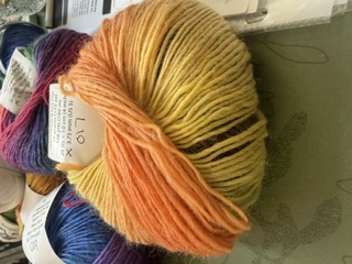 Acacia Vivid Colors Yarn 017
