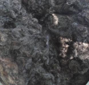 Border Leicester Curly Locks - Scoured - 1 oz - Dark Browns with Charcoal Gray