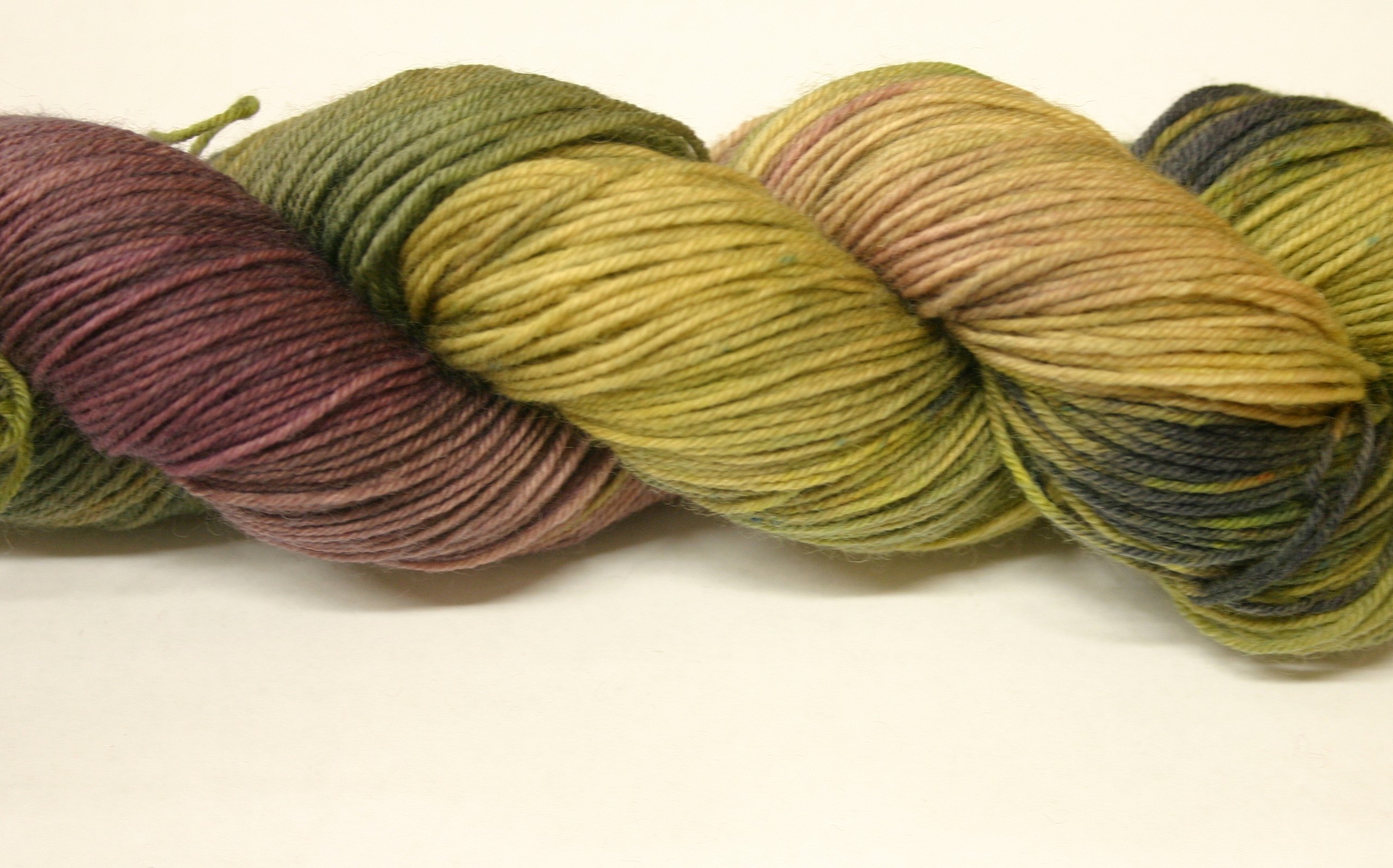 Bewitching Fibers Superwash Merino Fingering - Scrubgrass