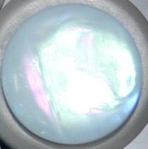 #221818 15 mm (6/10 inch) Fashion Button by Dill - Light Blue
