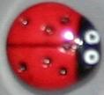#230448 11 mm (0.45 inch) Novelty Button by Dill - Red Ladybug