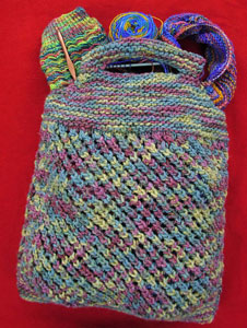 Cherry Tree Hill Glitter Knitters Bag