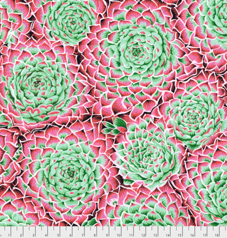 Kaffe Fassett Collective 100% Cotton Fabric - Succulent Pink