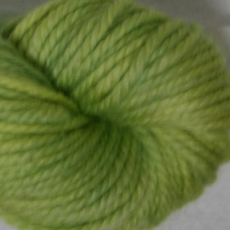 Ivy Brambles Superwash Chunky Yarn #102 Spring Meadow
