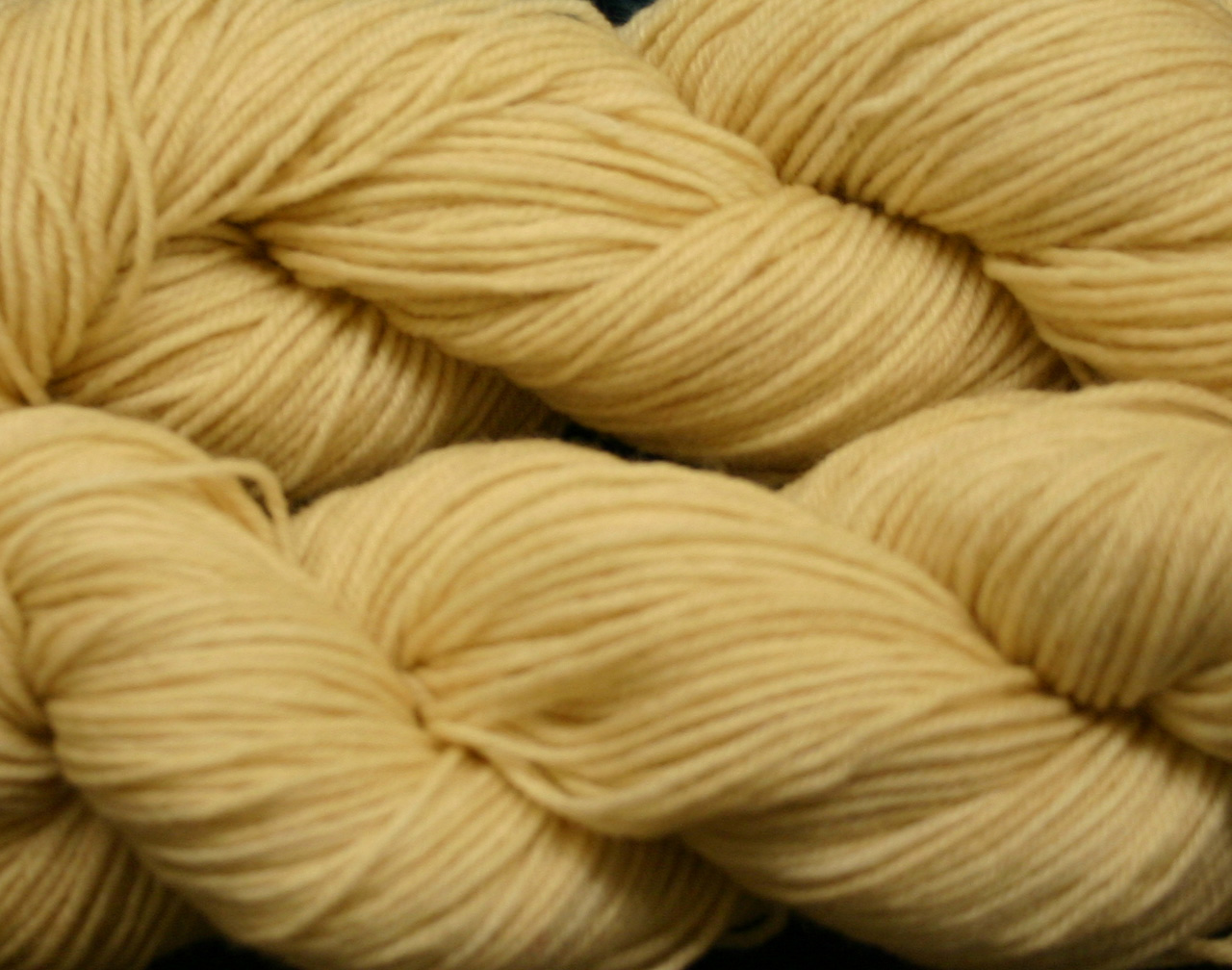 Ivy Brambles Enrapture Light Yarn - 105 Corn Silk