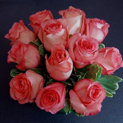 Ivy Brambles Silky Merino Light Yarn - Pink Rose