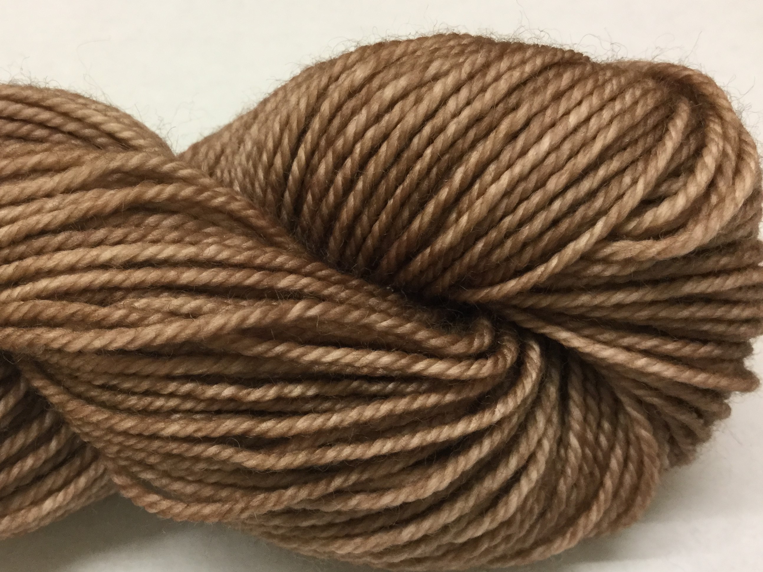 Ivy Brambles Superwash DK Yarn #153 Latte