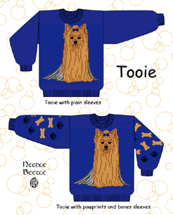 Needle Beetle Sweater Pattern Tooie